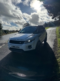 Land Rover Range Rover Evoque 2.2 eD4 Pure 5dr [Tech Pack] 2WD in Down