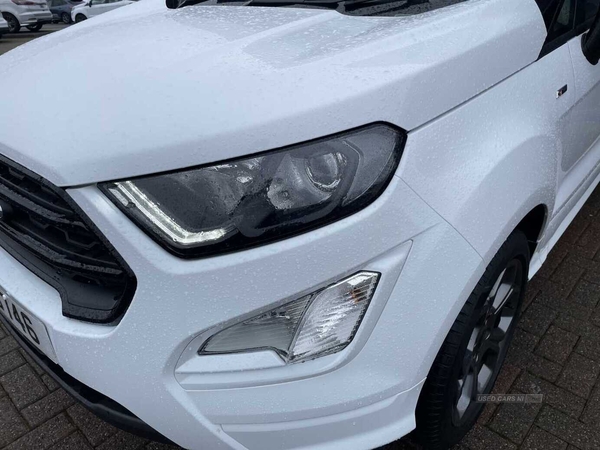 Ford EcoSport ST-Line in Tyrone