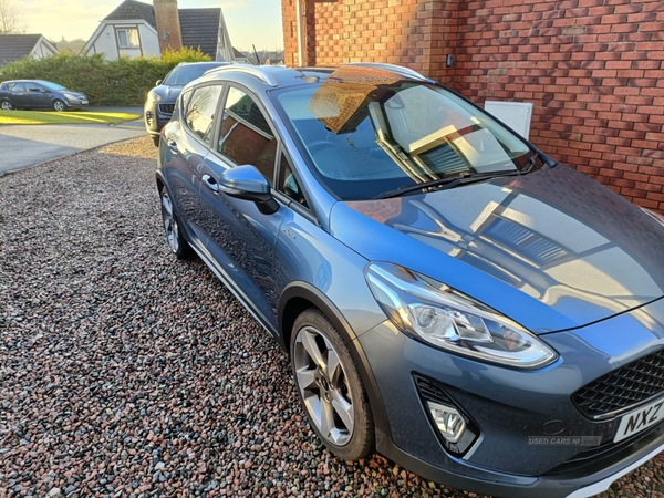 Ford Fiesta 1.0 EcoBoost 140 Active X 5dr in Antrim