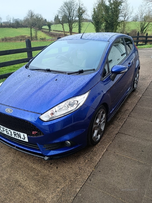 Ford Fiesta 1.6 EcoBoost ST-2 3dr in Fermanagh