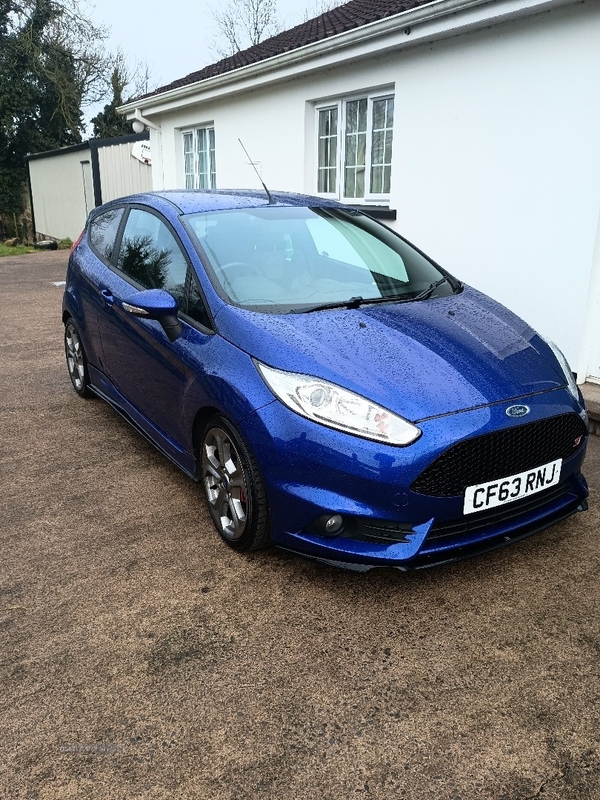 Ford Fiesta 1.6 EcoBoost ST-2 3dr in Fermanagh