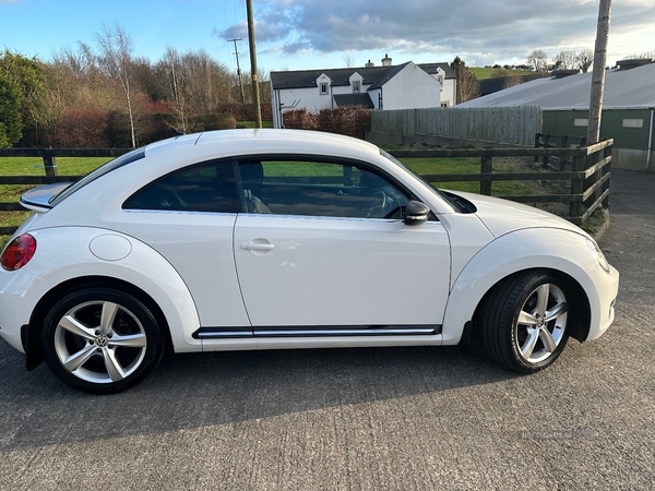 Volkswagen Beetle DIESEL HATCHBACK in Down