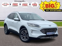 Ford Kuga 1.5 EcoBlue Titanium Edition 5dr in Tyrone