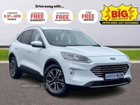 Ford Kuga 1.5 EcoBlue Titanium Edition 5dr in Tyrone