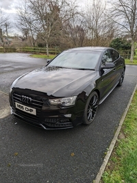 Audi A5 2.0 TDI 190 Black Edition Plus 5dr [5 Seat] in Armagh