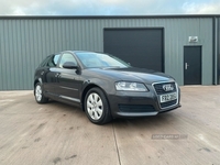 Audi A3 1.6 5dr in Tyrone