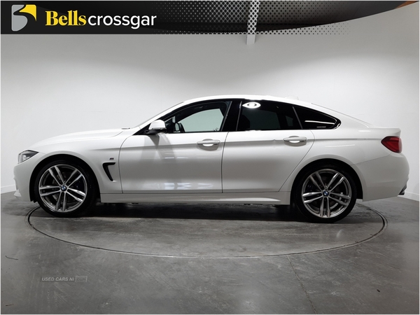 BMW 4 Series 420d [190] M Sport 5dr Auto [Professional Media] in Down