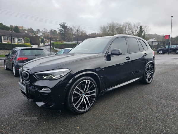 BMW X5 3.0 30d M Sport Auto xDrive Euro 6 (s/s) 5dr in Down