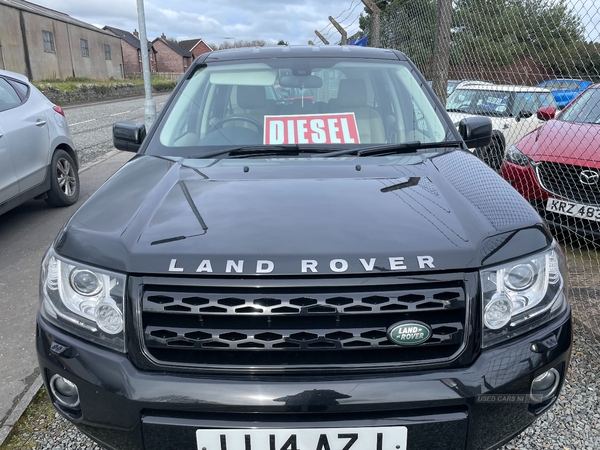 Land Rover Freelander DIESEL SW in Armagh