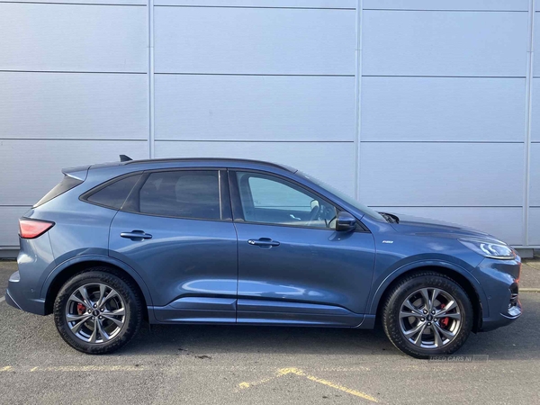 Ford Kuga 1.5 EcoBlue ST-Line First Edition 5dr Auto in Antrim