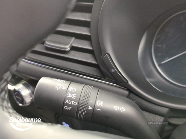 Mazda 3 2.0 e-SKYACTIV-G MHEV SE-L Lux Hatchback 5dr Petrol Auto Euro 6 (s/s) (122 ps) in Down