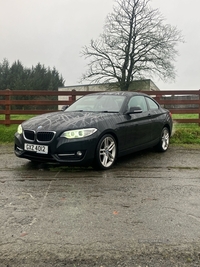BMW 2 Series 218d Sport 2dr in Down