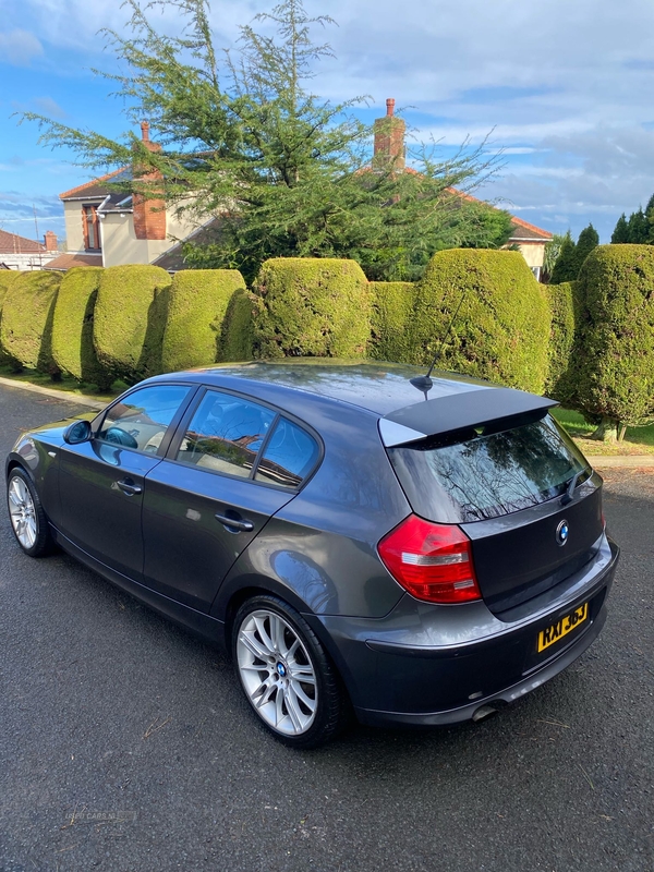BMW 1 Series 116i SE 5dr in Down