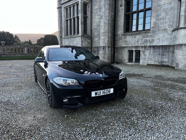 BMW 5 Series 520d M Sport 4dr in Down