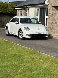 Volkswagen Beetle 1.6 TDI BlueMotion Tech Design 3dr in Tyrone