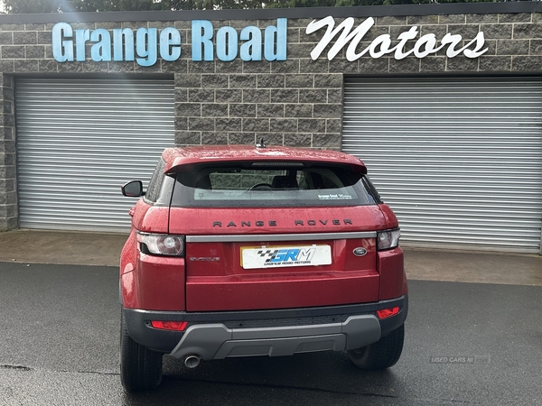 Land Rover Range Rover Evoque eD4 Pure in Tyrone