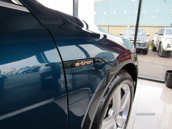 Audi E-Tron ESTATE in Antrim