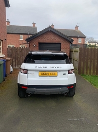 Land Rover Range Rover Evoque 2.2 SD4 Pure 5dr Auto [9] in Armagh