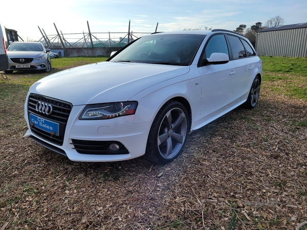 Audi A4 AVANT SPECIAL EDITIONS in Down