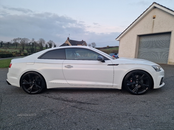 Audi A5 S5 Quattro 2dr Tiptronic in Armagh