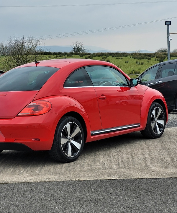 Volkswagen Beetle DIESEL HATCHBACK in Fermanagh