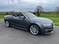 Audi A5 DIESEL CABRIOLET in Armagh