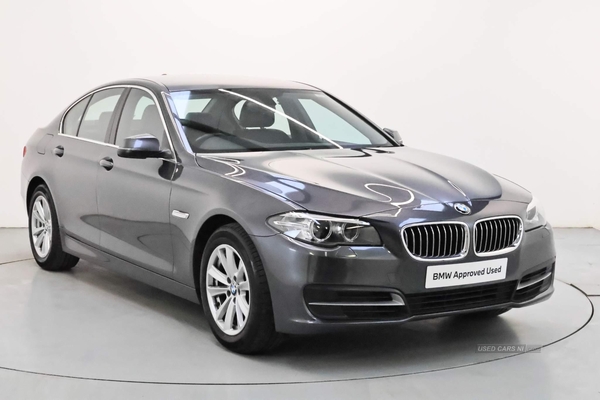 BMW 5 Series 520d SE Saloon in Derry / Londonderry