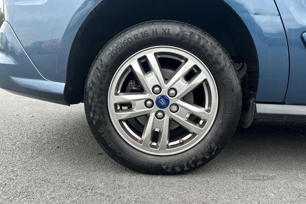 Ford Grand Tourneo Connect 1.5 EcoBlue 120 Titanium 5dr - REAR SENSORS, BLUETOOTH, AIR CON - TAKE ME HOME in Armagh