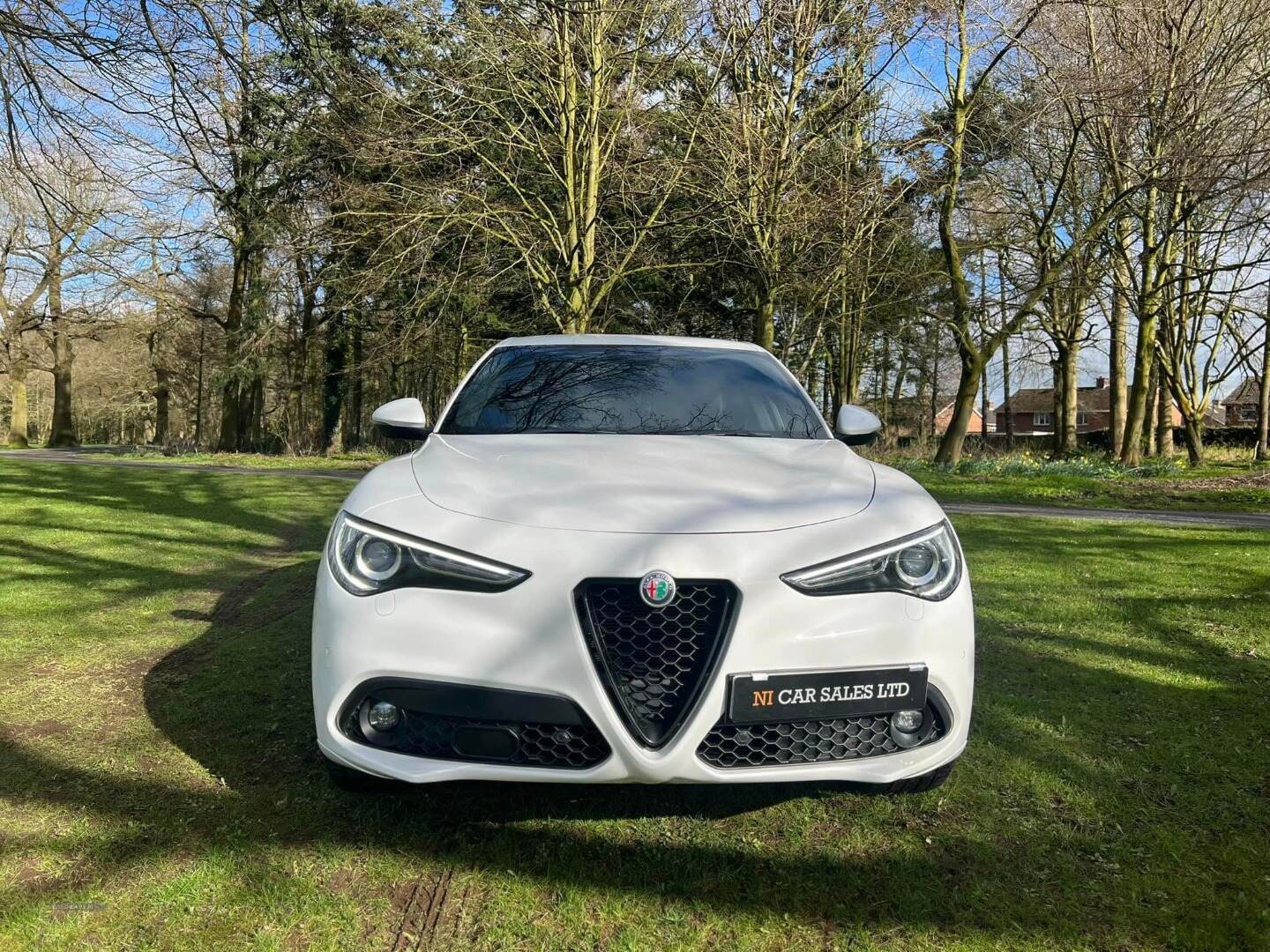 Alfa Romeo Stelvio DIESEL ESTATE in Armagh