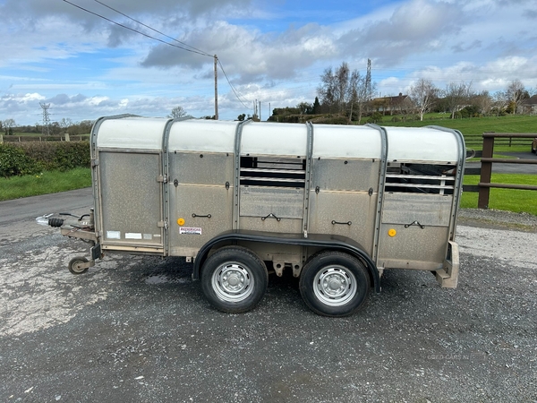 Ifor Williams Livestock Trailer TA5 10x5x4HR Calf/Sheep Trailer in Armagh
