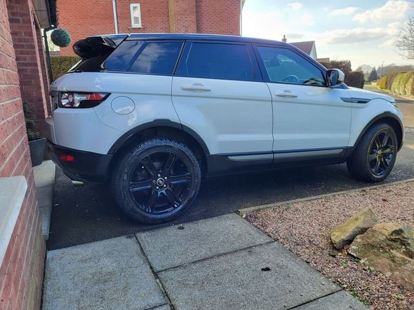 Land Rover Range Rover Evoque 2.2 SD4 Pure 5dr [Tech Pack] in Antrim
