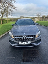 Mercedes A-Class A160 AMG Line 5dr in Tyrone