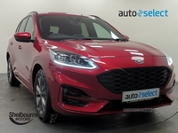 Ford Kuga 2.0 EcoBlue MHEV ST-Line SUV 5dr Diesel Manual (150 ps) in Armagh