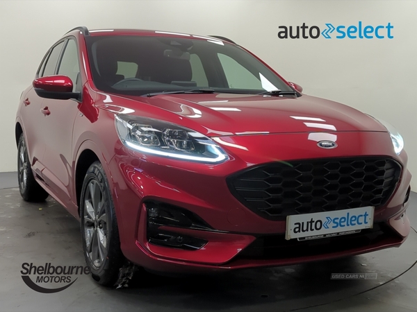 Ford Kuga 2.0 EcoBlue MHEV ST-Line SUV 5dr Diesel Manual (150 ps) in Armagh