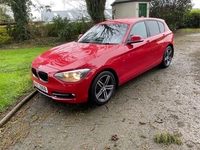 BMW 1 Series 116i Sport 5dr in Down