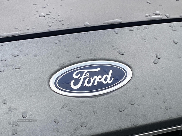 Ford Galaxy 2.0 Tdci 180 Titanium 5Dr in Armagh