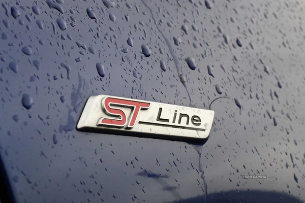 Ford Fiesta ST-LINE in Antrim