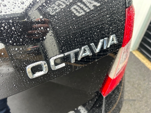 Skoda Octavia 1.6 TDI 115 S ESTATE in Antrim
