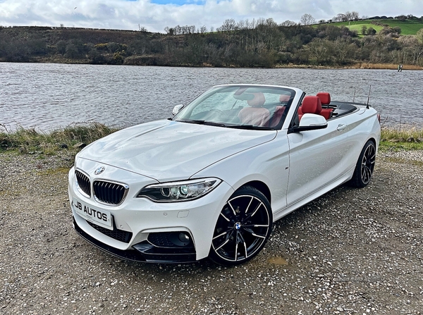 BMW 2 Series DIESEL CONVERTIBLE in Derry / Londonderry