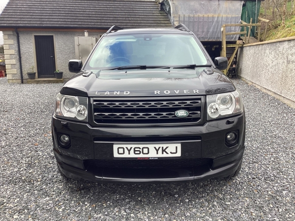 Land Rover Freelander 2.2 SD4 HSE 5dr Auto in Tyrone