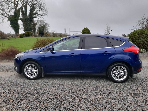 Ford Focus 1.5 TDCi 120 Zetec Edition 5dr in Down