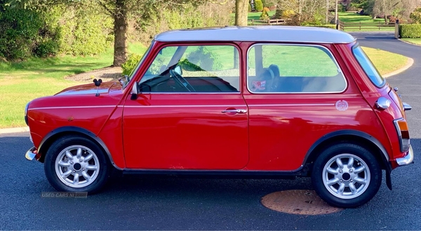 Rover Mini 1.3 2dr in Armagh