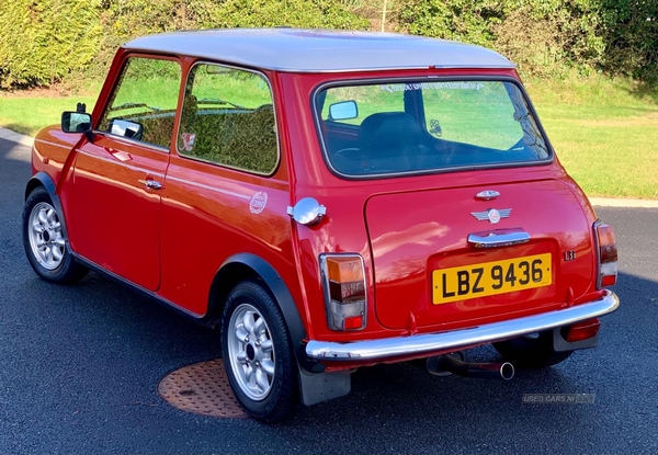 Rover Mini 1.3 2dr in Armagh