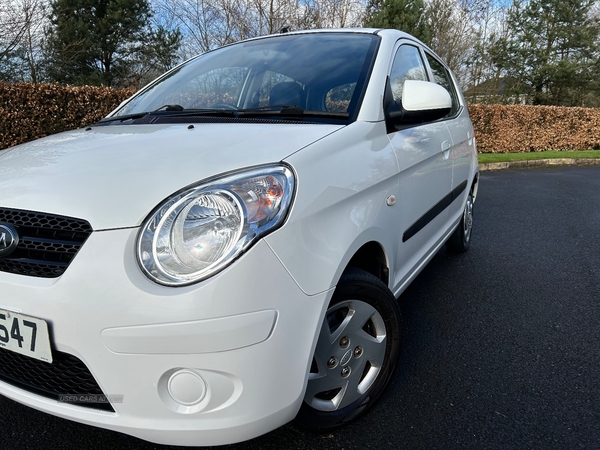 Kia Picanto HATCHBACK in Armagh