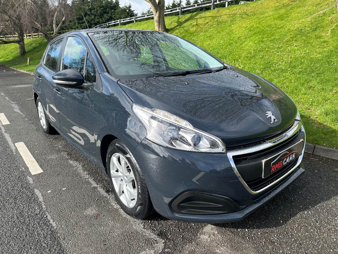 Peugeot 208 HATCHBACK in Down