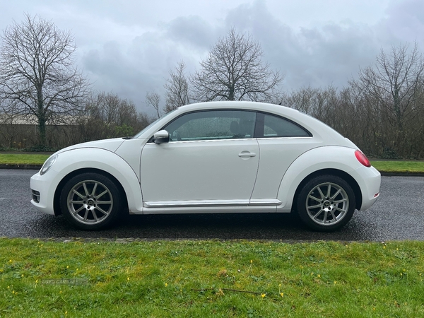 Volkswagen Beetle 1.2 TSI 3dr in Antrim