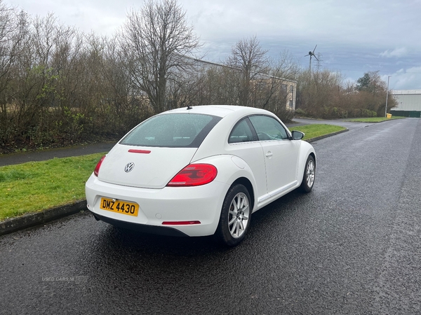Volkswagen Beetle 1.2 TSI 3dr in Antrim