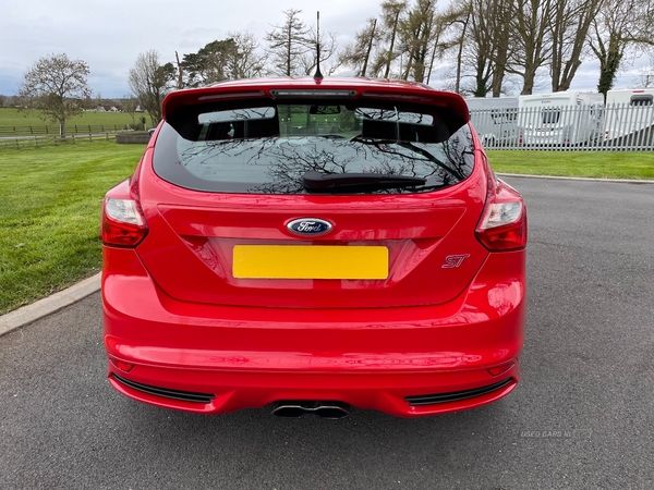 Ford Focus HATCHBACK in Armagh
