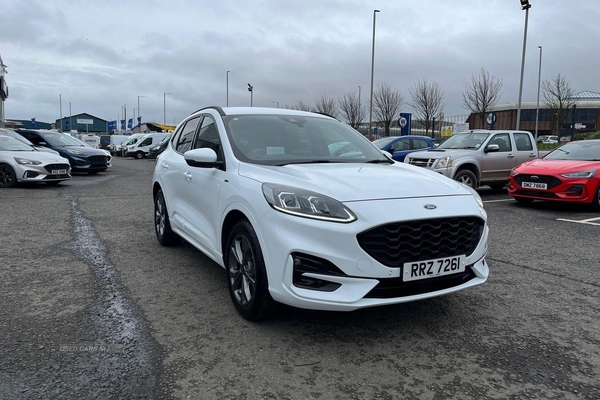 Ford Kuga 1.5 EcoBlue ST-Line 5dr - DIGITAL CLUSTER, HEADS-UP DISPLAY, KEYLESS GO, DUAL ZONE CLIMATE CONTROL, WIRELESS CHARGING PAD, APPLE CARPLAY and more in Antrim