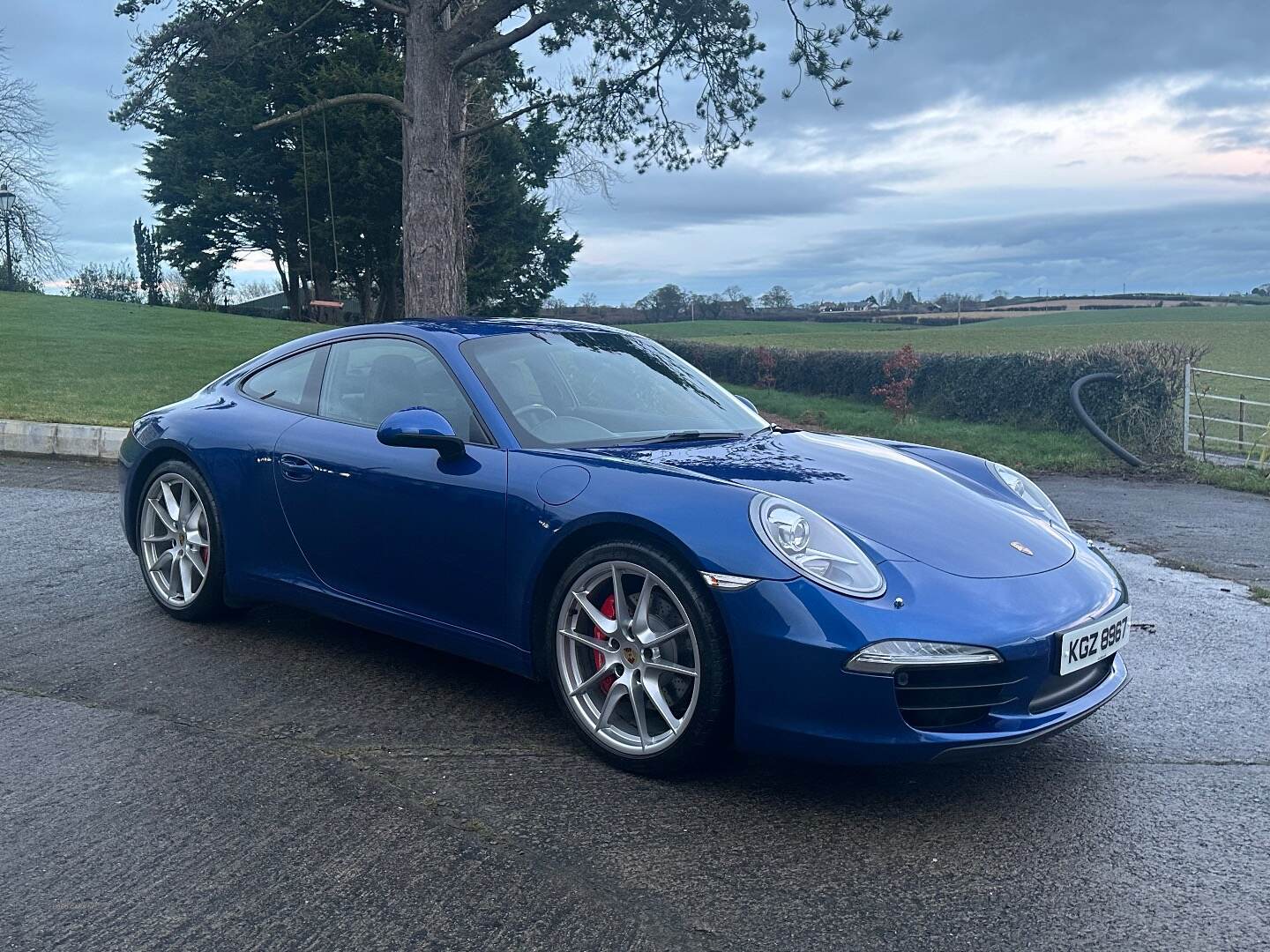 Porsche 911 [991] CARRERA COUPE in Down